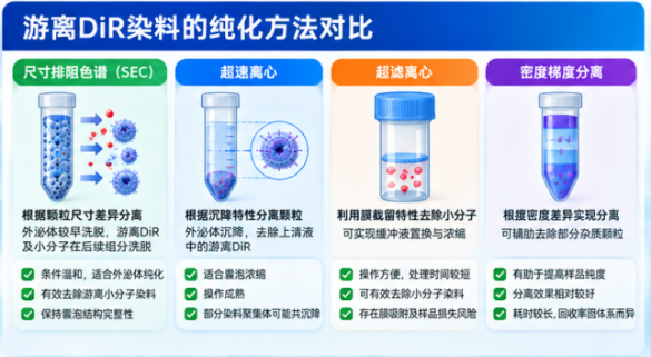DiR荧光标记材料