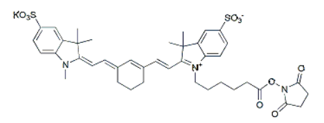 Sulfo-CY7 NHS Ester，磺基-CY7 NHS酯 R-680730