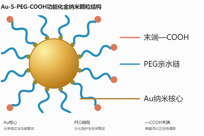 Au-S-PEG-COOH修饰金纳米颗粒的胶体稳定性配图