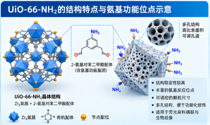 UiO-66-NH₂荧光染料偶联技术研究进展及其在生物成像领域的应用前景配图