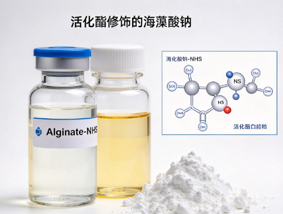 Alginate-NHS， 活化酯修饰的海藻酸钠 R-449249