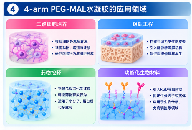 4-arm PEG-MAL