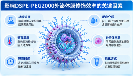 DSPE-PEG2000