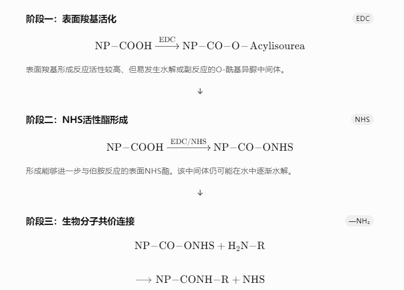 羧基活化与酰胺键形成