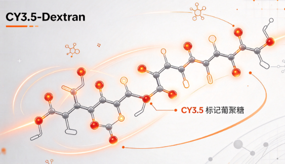 CY3.5-Dextran，CY3.5标记葡聚糖 R-609669