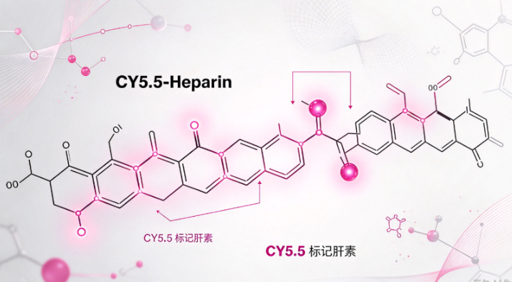 CY5.5-Heparin，CY5.5标记肝素 R-622551