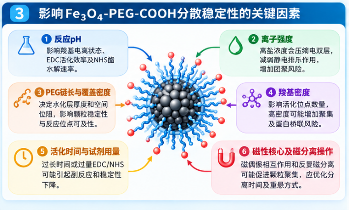 Fe₃O₄-PEG-COOH