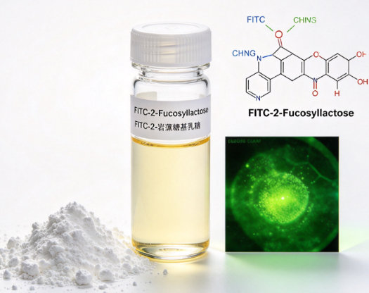 FITC-2-Fucosyllactose，FITC-2-岩藻糖基乳糖 R-404800