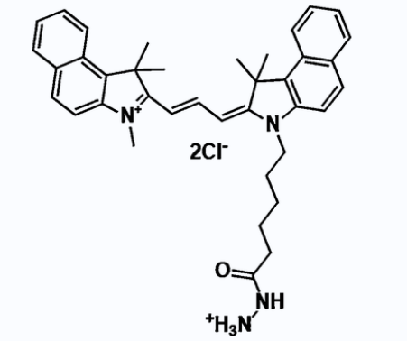Cy3.5-hydrazide，Cy3.5-酰肼 R-282637