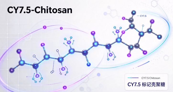CY7.5-Chitosan，CY7.5标记壳聚糖 R-921973