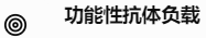 功能性抗体负载