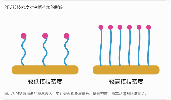 PEG接枝密度对空间构象的影响