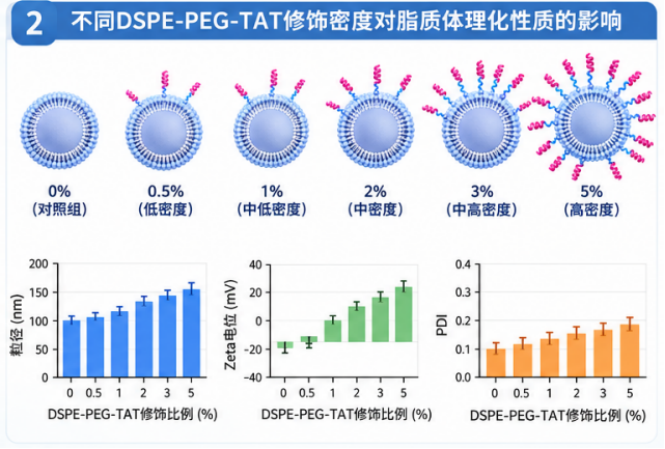 DSPE-PEG-TAT修饰密度对脂质体细胞摄取的影响