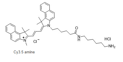 Cy3.5-amine，Cy3.5-NH2，Cy3.5标记氨基染料 R-948258