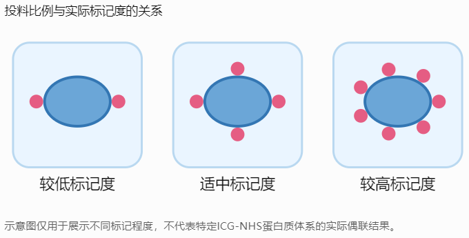 投料比例与实际标记度的关系