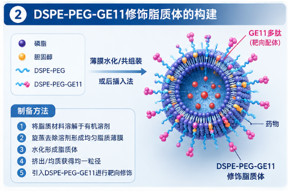 mPEG-NHS水解对蛋白PEG化反应效率的影响