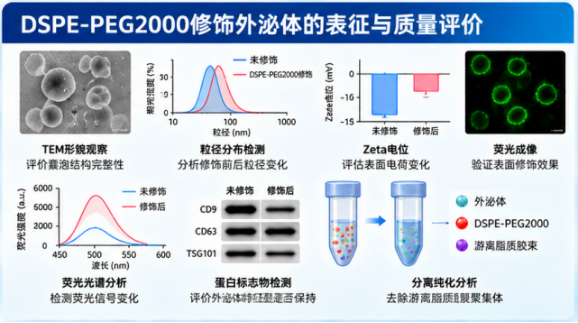 DSPE-PEG2000