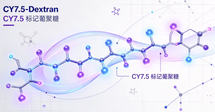 CY7.5-Dextran，CY7.5标记葡聚糖 R-888293