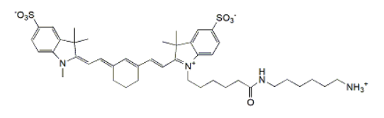 Sulfo-CY7 Amine，水溶CY7氨基，CAS:2236573-39-8 R-679448