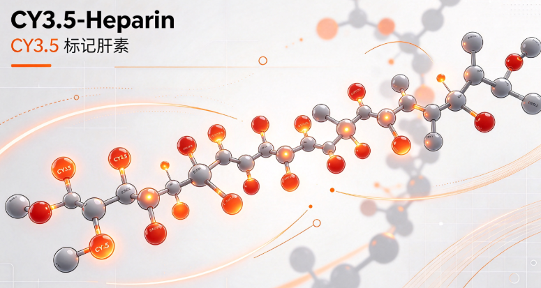 CY3.5-Heparin，CY3.5标记肝素 R-234434