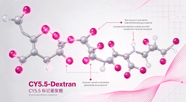 CY5.5-Dextran，CY5.5标记葡聚糖 R-722050
