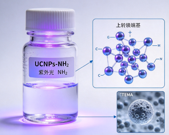 氨基修饰上转换纳米颗粒 UCNPs-NH2（紫外光） R-840197