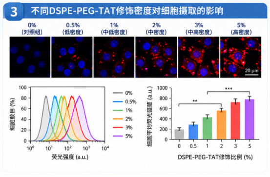 DSPE-PEG-TAT修饰密度对脂质体细胞摄取的影响