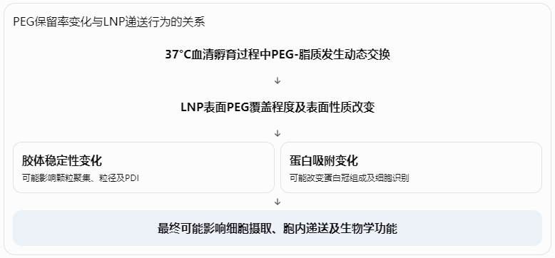 PEG保留率变化对LNP稳定性及递送性能的影响