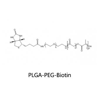 PLGA-PEG-Biotin，聚乳酸-羟基乙酸聚乙二醇-生物素 R-923550