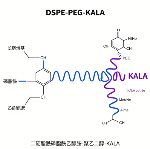 DSPE-PEG-KALA；二硬脂酰磷脂酰乙醇胺-聚乙二醇-KALA R-856642