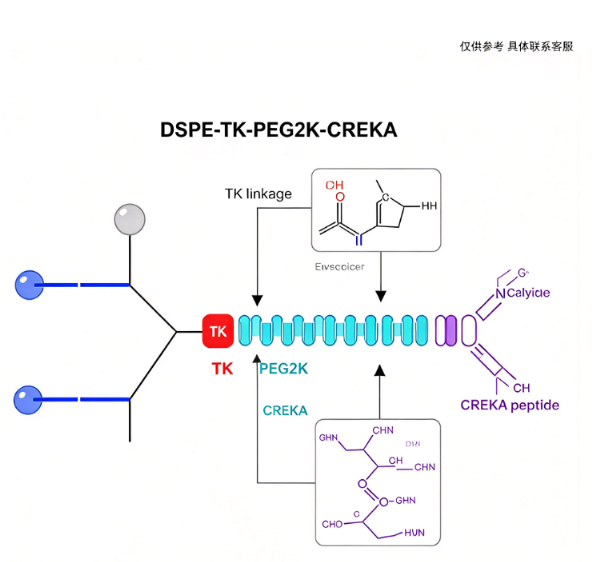 DSPE-TK-PEG2K-CREKA；1,2-二硬脂酰-sn-甘油-3-磷酸乙醇胺-硫缩酮-聚乙二醇-CREKA肽 R-726166