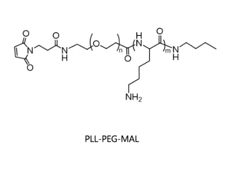 PLL-PEG-MAL，聚赖氨酸聚乙二醇马来酰亚胺   R-211772