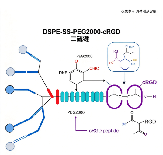 DSPE-SS-PEG2000-cRGD,1,2-二硬脂酰-sn-甘油-3-磷酸乙醇胺-二硫键-聚乙二醇-环状RGD肽 R-385643