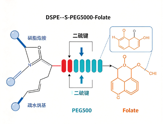 DSPE-S-S-PEG5000-Folate,1,2-二硬脂酰-sn-甘油-3-磷酸乙醇胺-二硫键-PEG5000-叶酸 R-873256