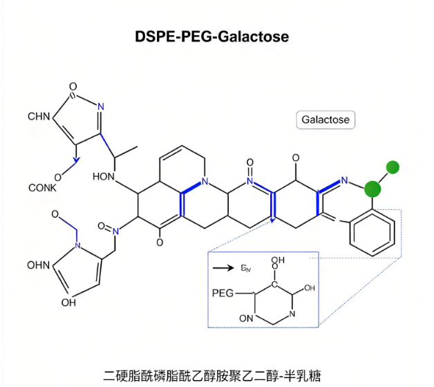 DSPE-PEG-Galactose；二硬脂酰磷脂酰乙醇胺聚乙二醇-半乳糖 R-879225