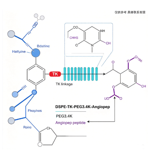 DSPE-TK-PEG3.4K-Angiopep；1,2-二硬脂酰-sn-甘油-3-磷酸乙醇胺-硫缩酮-PEG3400-Angiopep-2肽 R-734056
