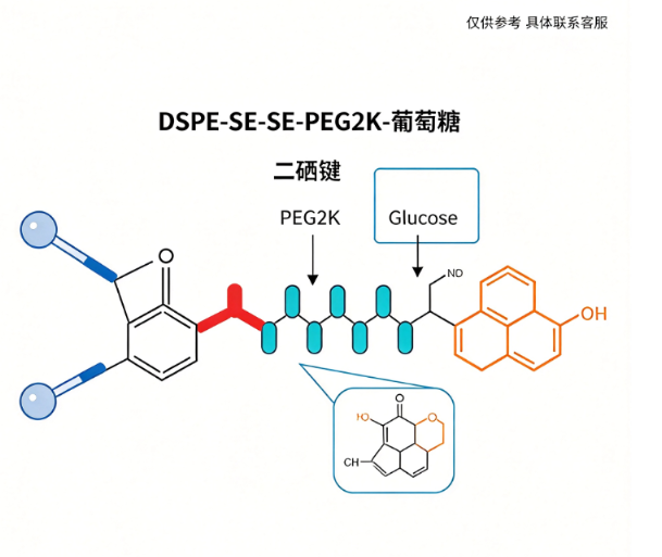 DSPE-SE-SE-PEG2K-葡萄糖；1,2-二硬脂酰-sn-甘油-3-磷酸乙醇胺-二硒键-聚乙二醇-葡萄糖 R-493530