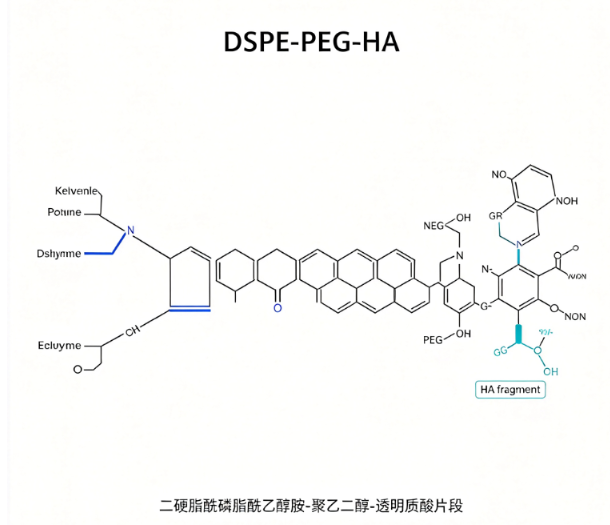 DSPE-PEG-HA；二硬脂酰磷脂酰乙醇胺-聚乙二醇-透明质酸片段 R-452863