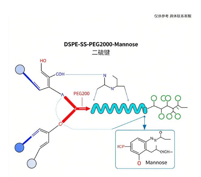 DSPE-SS-PEG2000-Mannose；1,2-二硬脂酰-sn-甘油-3-磷酸乙醇胺-二硫键-聚乙二醇-甘露糖 R-515843