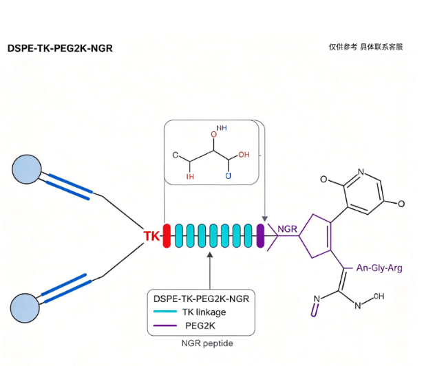 DSPE-TK-PEG2K-NGR；1,2-二硬脂酰-sn-甘油-3-磷酸乙醇胺-硫缩酮-聚乙二醇-NGR肽 R-887306