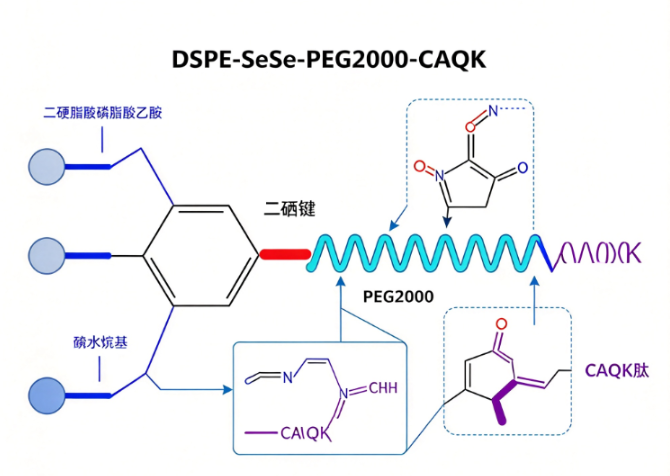 DSPE-SeSe-PEG2000-CAQK；1,2-二硬脂酰-sn-甘油-3-磷酸乙醇胺-二硒键-聚乙二醇-CAQK肽 R-472268
