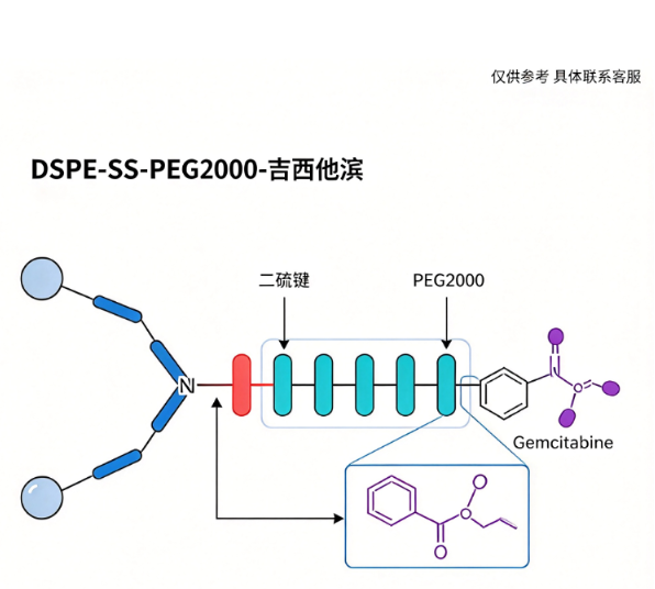 DSPE-SS-PEG2000-吉西他滨；1,2-二硬脂酰-sn-甘油-3-磷酸乙醇胺-二硫键-聚乙二醇-吉西他滨偶联物 R-156276