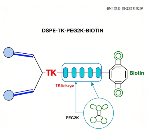 DSPE-TK-PEG2K-BIOTIN；1,2-二硬脂酰-sn-甘油-3-磷酸乙醇胺-硫缩酮-聚乙二醇-生物素 R-263241
