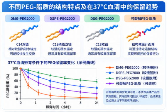 LNP稳定性