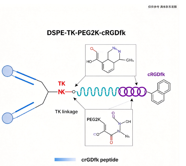 DSPE-TK-PEG2K-cRGDfk；1,2-二硬脂酰-sn-甘油-3-磷酸乙醇胺-硫缩酮-聚乙二醇-环状RGD肽（cRGDfk） R-893315