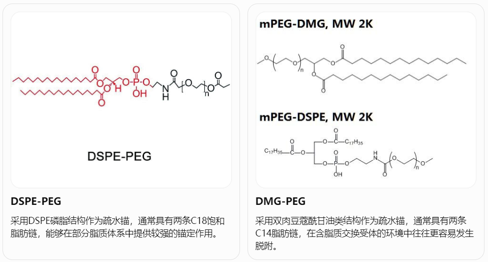 DSPE-PEG与DMG-PEG的结构差异
