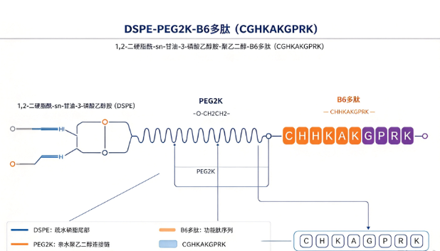 DSPE-PEG2K-B6多肽（CGHKAKGPRK）,1,2-二硬脂酰-sn-甘油-3-磷酸乙醇胺-聚乙二醇-B6多肽（CGHKAKGPRK） R-769313