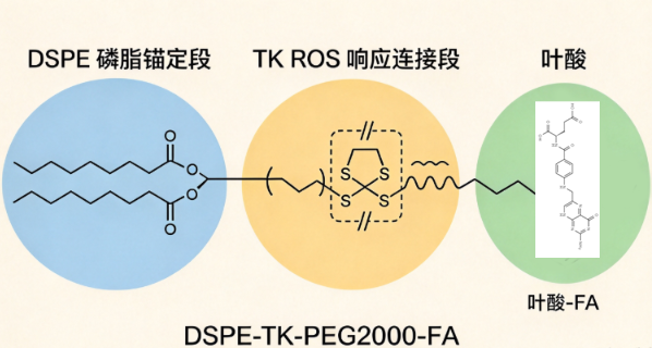 DSPE-TK-PEG2000-FA；二硬脂酰1,2-二硬脂酰-sn-甘油-3-磷酸乙醇胺酰乙醇胺-硫缩酮-聚乙二醇-叶酸 R-985137