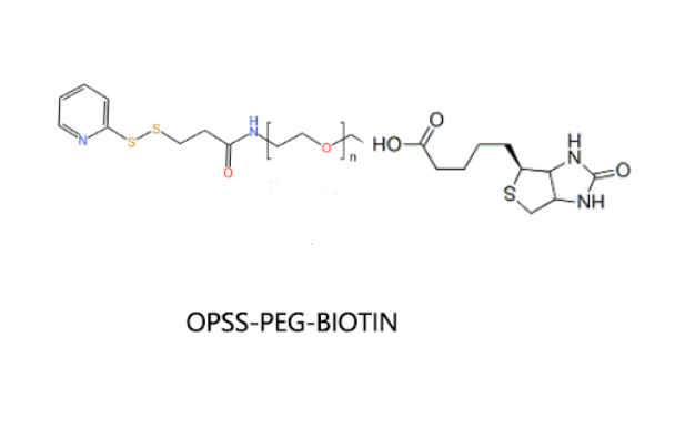 OPSS-PEG-Biotin；吡啶二硫聚乙二醇生物素 R-298529