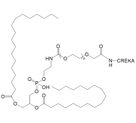 DSPE-PEG2K-CREKA,1,2-二硬脂酰-sn-甘油-3-磷酸乙醇胺-聚乙二醇-CREKA肽 R-123044